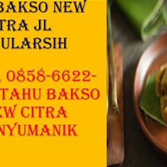 HALAL, 0858-6622-8323, Tahu Bakso New Citra Tembalang