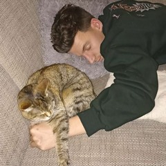 Castor for Burning Man / Dutch Decompression