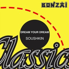 🎧Dream your Dream ⚡ Soushkin