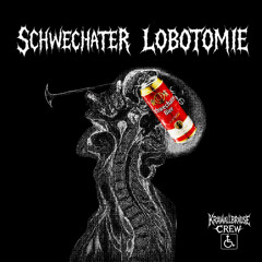 Tr!ckkZta x HäKKe - SchWeCHater LOboToM!e