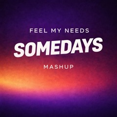 Feel My Needs Somedays (Starfox Mashup)