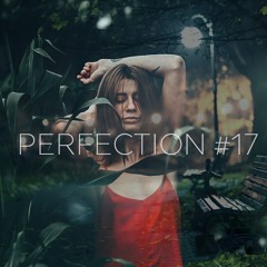 PERFECTION #17
