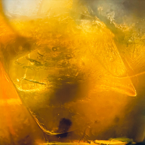 [Playlist] 알려주고 싶은 한국 인디 밴드 플리 | Indie Wave