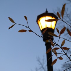 【Hia】Honeymoon Un Deux Trois / 蜜月アン・ドゥ・トロワ -- English Cover