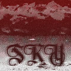 PLAYBOI CARTI - SKY (WRON REMIX)