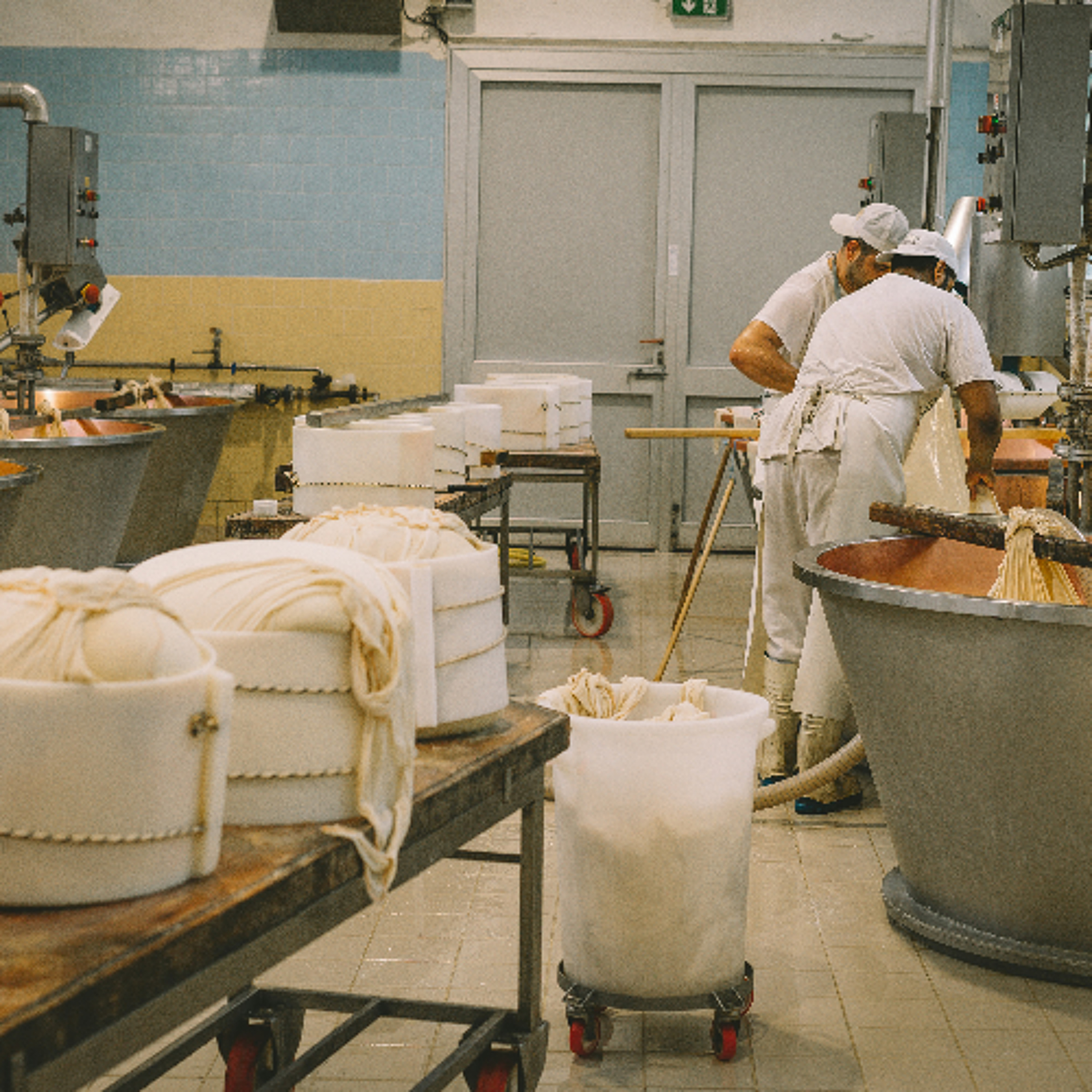 The history of cheesemaking in Wisconsin episode artwork
