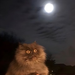 paranoia 2 w/dj triplesixxx 2006