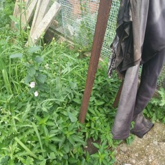 you are glued together with nettles