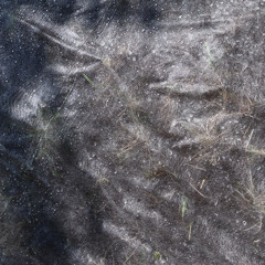 nauka oddychania~327th breath~in the absence of desire, everything disappears