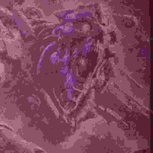 SKYCRAWLING FREAK ATTACK (DEMO)