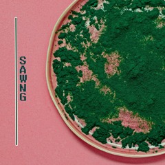 SAWNG [Preview II]
