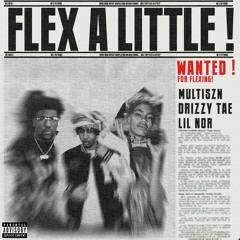 Flex a Little (Multiszn X Drizzy Tae X Lil Nor)
