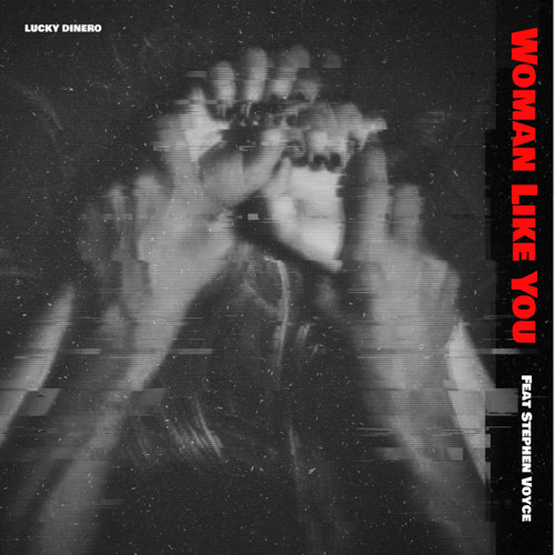 Woman Like You (feat. Stephen Voyce)
