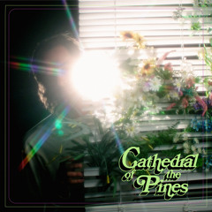 Cathedral of the Pines