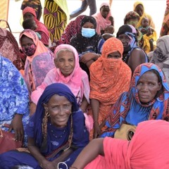 Dans la région de Ménaka, les besoins humanitaires "restent assez grands" (HCR)