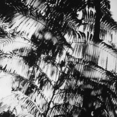 Lightning Speed (prod. E L I)