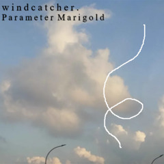 windcatcher.