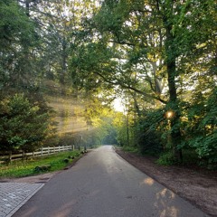 Bedtime Story ft. Pieter Dirksen