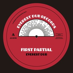 12" Vinyl | First Partial & Dub Partial | Limited Run 100 copies only