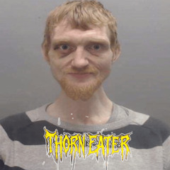 ED SHEERAN - DRUNK (DOCTOR P REMIX) THORNEATER FLIP (FREE DL)