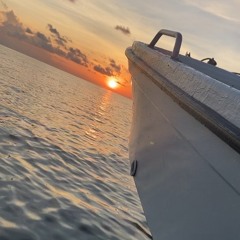 Vibes 🇸🇧🍻🤙🏾