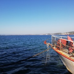 Beloved Idyll _ Joshua Kyan Aalampour