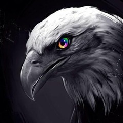 Eagle Vision