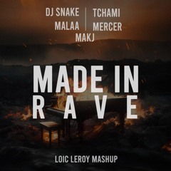 Dj Snake / MAKJ - MADE IN RAVE - LOIC LEROY MASHUP #FILTRED