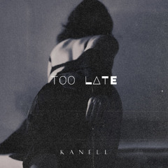 Too Late - Original Melodic Techno / House