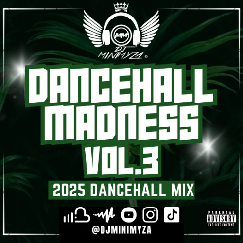 DANCEHALL MADNESS VOL.3 [2025 DANCEHALL MIX]