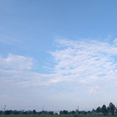 CHÚNG TA CHỈ GIỐNG TÌNH YÊU