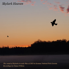 Skylark Heaven (track 5) - Free download