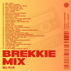 Brekkie Set at Shambhala Renegade 07-25-2024