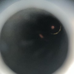 extra clip (prod. n33snu + gethigh2k)