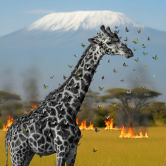 The Kilimanjaro Giraffe And Their Butterfly Playfellows (Drifyn Remix)
