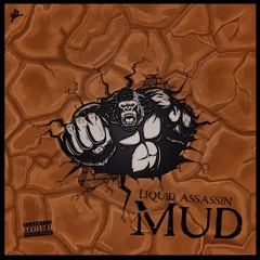 Mud