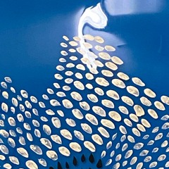 Cherenkov Light (2020)