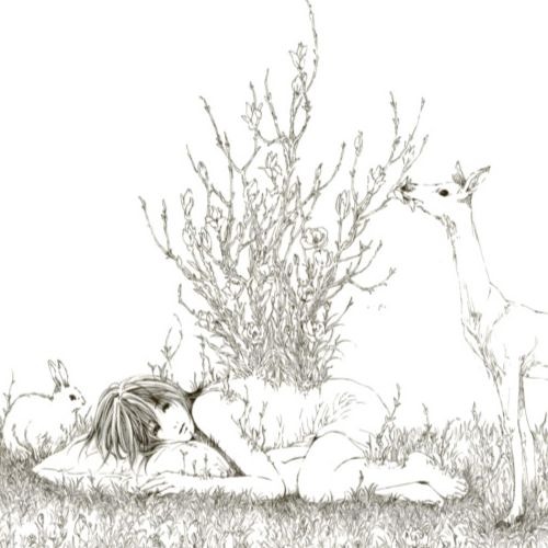 hvrts - failure @kurchev