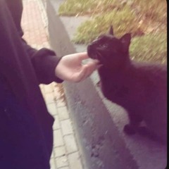 sad bad mood bdr ero;