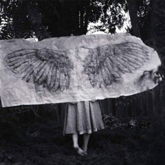 With Ink Stained Wings