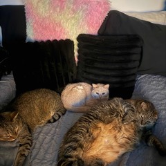 Michael Simonetti Top 8s A GP!