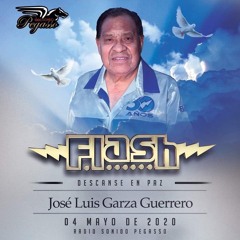 Grupo Flash Descanse en Paz "Jose Luis Garza Guerrero" Avenger Mix