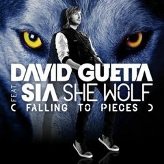 David Guetta F.t Sia - She Wolf (Falling To Pieces) Vs Michael Calfan Remix (VARGR Mashup)