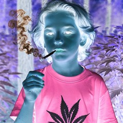 "chinchilla freestyle"