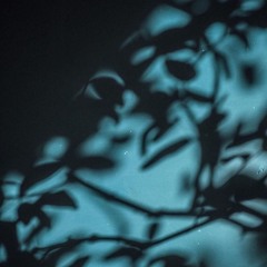 Maniac (Artechno Album)