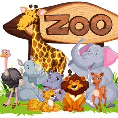 Lo Zoo Dei Ritardati