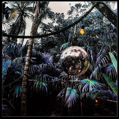 Jungle Party - Tribal/Tech Mix set 2