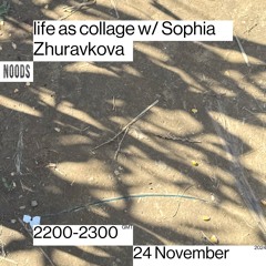 NOODS #14 Life As Collage w/ Sophia Zhuravkova [24 November 2024]