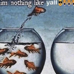 Free 39