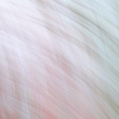 250128 - Jamuary-28 - On And On And On And On And On...and on...